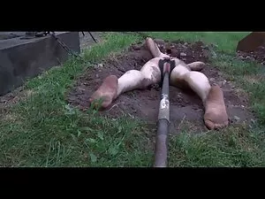 Superbe séance anale ...