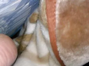 La milf blonde sexy  ...
